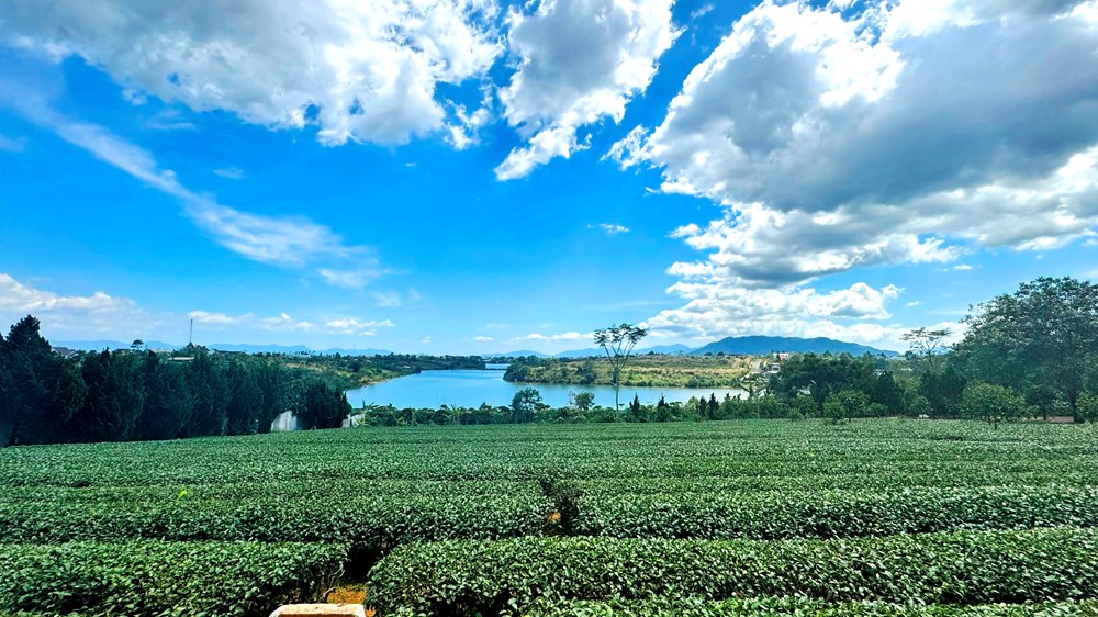 Bài 1: Khi những bánh xe mùa xuân lăn bánh - ảnh 7