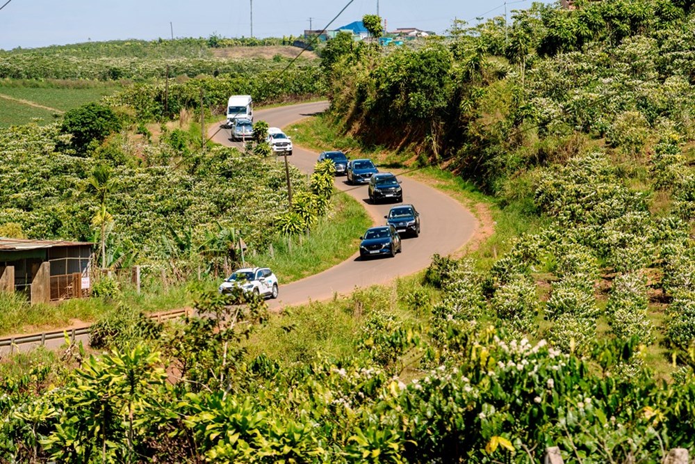 Bài 1: Khi những bánh xe mùa xuân lăn bánh - ảnh 1