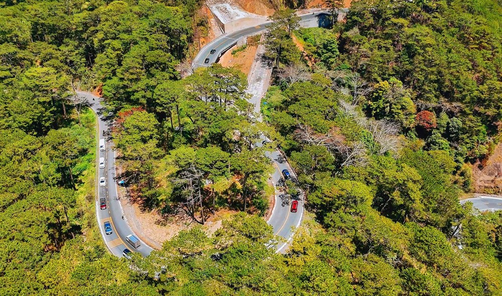 Bài cuối: Những khúc hoan ca từ rừng xuống biển - ảnh 6