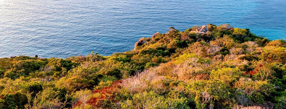 Bài cuối: Những khúc hoan ca từ rừng xuống biển - ảnh 9