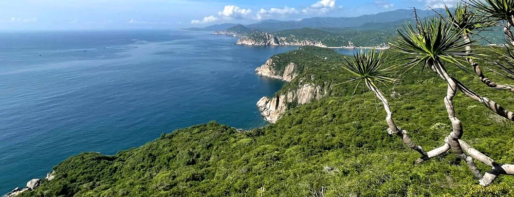 Bài cuối: Những khúc hoan ca từ rừng xuống biển - ảnh 10